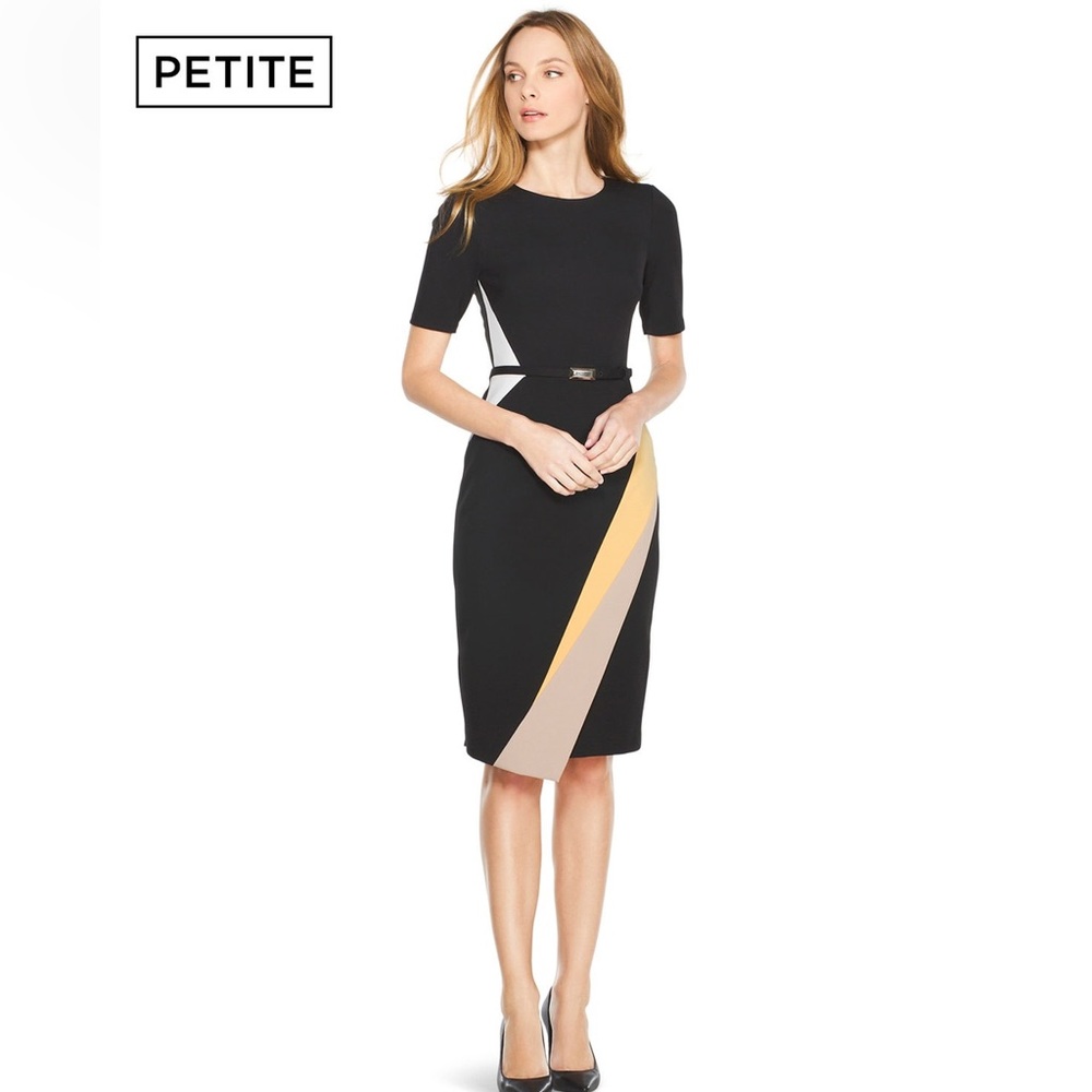 NEW ~ White House Black Market Colorblock Sheath Dress sz 2P